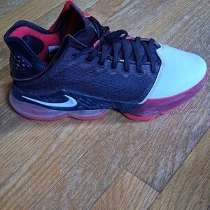 Nike LeBron Basketball Shoes